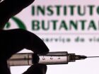 Período de teste da vacina deve terminar 2026. Instituto busca aprovação para uso em ampla faixa etária.