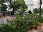 Tempestade em Campo Grande 