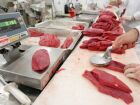 Exportações de carne bovina para o México crescem 420%