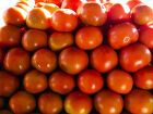 Queda do tomate no atacado é destaque em pesquisa de preços de agosto da Conab