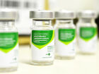 Vacina contra Influenza