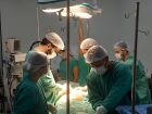 Transplante em MS