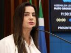 Mara Caseiro convocou parlamentares para o Ato do Agosto Lilás