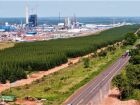 Fábrica da Suzano em Ribas do Rio Pardo (Foto: Saul Schramm)