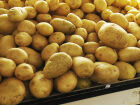 A batata liderou a alta dos alimentos em Campo Grande, com aumento de 14,18%, elevando o custo da cesta básica para R$ 773,95.