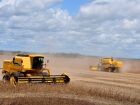 Safra 2025 alcançará recorde de 341,2 milhões de t