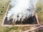 Pesquisadores estudam os impactos do fogo no Pantanal para definir estratégias de manejo e evitar grandes incêndios.