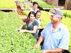 Assembleia Legislativa aprova selo estadual que certifica produtos da agricultura familiar com foco em segurança e valorização regional.
