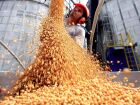 Desempenho da soja ajudou o agro e a economia no primeiro trimestre 