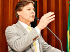 Falta de fiscalização é criticada pelo deputado Paulo Duarte