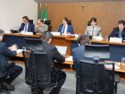 Deputados da CCJR relataram 17 matérias durante a reunião extraordinária de hoje.