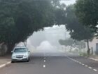 Sexta-feira começa com neblina e temperaturas amenas; nova frente fria se aproxima.