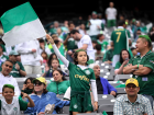 Palmeirenses estão em grande número nos Estados Unidos para o Mundial de Clubes.