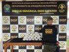 De onde vem o haxixe marroquino? Droga apreendida em MS mostra nova rota do tráfico internacional 