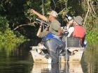 Mais de 230 espécies de aves foram avistadas no Pantanal Sul durante famtrip com operadores internacionais 