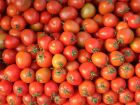 Apesar do recuo de 14,79% no preço do tomate, cebola, alface, batata e cenoura apresentam variações positivas em maio.