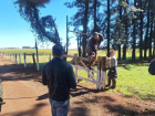 Após caso com paraguaios, fazendas de Maracaju adotam práticas legais para valorizar o trabalhador e evitar problemas.