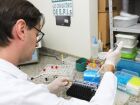 Laboratório Central de Maracaju realizou mais de 93 mil exames no 1º semestre e recebeu selo nacional de qualidade 