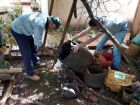 Mato Grosso do Sul registra 28 mortes por dengue e Chikungunya em 2025; vacinação avança, mas cenário ainda é crítico.