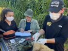 CRAS e Imasul soltam animais reabilitados no Pantanal, com monitoramento inédito e parceria do projeto Onçafari.