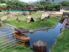 Nove galinhas d'angola morreram de gripe aviário no parque do Rio.
