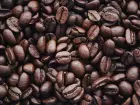 Tarifa de 50% sobre cafés especiais brasileiros fez exportações aos EUA caírem quase 80% em agosto