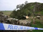 Imagem mostra a árvore Sycamore Gap após ser derrubada na Muralha de Adriano, no norte da Inglaterra, em setembro de 2023