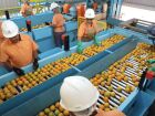 Produtos como suco de laranja, combustíveis e minérios estão entre as exceções