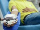Pacientes com hemofilia têm dificuldade com medicação