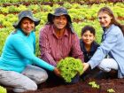 Agricultura familiar de MS já movimentou R$ 5,1 milhões em 2025 e deve superar recorde anual com apoio da Agraer e programas públicos