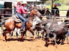 Com provas cronometradas e clima de festa, Campo Grande recebe neste domingo (27) a segunda etapa da 3ª Copa Montana de Ranch Sorting