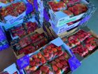 Febre do morango do amor impulsiona vendas e faz preço da fruta subir 35% na Ceasa-MS