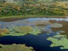  Vegetação nativa preservada no Pantanal sul-mato-grossense pode gerar renda extra para produtores