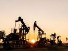 Petróleo: contratos futuros fecharam em queda após as ameaças de Donald Trump 