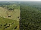 Imagem aérea mostra contraste entre área de fazenda e floresta preservada no Pantanal, tema central do documentário 