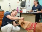 Prefeitura leva ações de Bem-Estar Animal a diversos bairros em agosto
