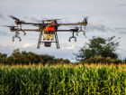 MS lidera startups no Centro-Oeste com 595 empresas e aposta em agronegócio, saúde e inteligência artificial para crescer.