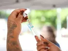 Imunizante protege contra sorotipos da bactéria que causa meningite