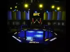 Octógono do UFC durante evento.