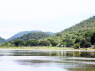 Propriedades no Pantanal que preservam vegetação nativa além do exigido por lei podem receber até R$ 100 mil por ano no PSA Conservação