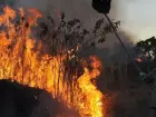 Mudanças climáticas aumentam intensidade dos incêndios florestais no Mediterrâneo, afirma estudo.