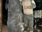 Cidão, o caçador que quebrou o recorde ao abater um javali gigante de 300 kg e 2,20 m em Costa Rica.
