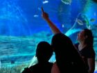 Bioparque Pantanal estará aberto em horário especial no dia 26 de agosto, com entrada gratuita e visita guiada