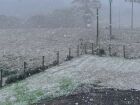 Rio Grande do Sul registra neve em algumas localidades