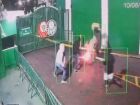 Indivíduos jogam rojões para dentro do CT do Palmeiras 