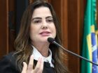 Parlamentar citou caso de vídeo no qual o humorista Felca expôs a exploração de menores na internet  