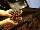 Após 18 meses de alta, o preço do café recuou em julho, refletindo o aumento da oferta. Mas o impacto do tarifaço dos EUA ainda é um ponto de incerteza para o mercado.