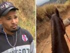 'Estão me julgando, eu não sou um monstro', diz Andrey, que confessou ter mutilado cavalo com facão no interior de SP. 