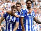 Jogadores do Brighton comemoram gol contra o City   