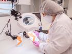 A proibição de testes em animais no Brasil não surge apenas de um movimento ético, mas de uma revolução científica que possibilitou alternativas mais precisas e seguras para garantir a qualidade dos produtos
